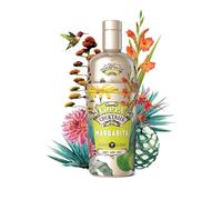 Coppa Cocktails, Margarita, 700 ml, Cocktail iconico, pronto da bere, tequila, lime ed arancia, cocktail messicano, 14.9% Vol.