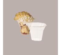 Coppa Luna in R PET 280 cc Yogurt Gelato POLOPLAST 50 pezzi