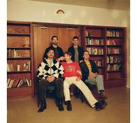 Caamp Copper Changes Color (Vinyl LP) 12" Album