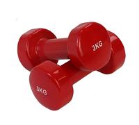 COPPIA 2 MANUBRI PESI DA PALESTRA MANUBRIO PESETTI PER FITNESS BILANCIERE 3.0KG
