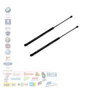 COPPIA 2 MOLLA GAS POSTERIORE COFANO VW GOLF IV BORA PASSANT VARIANT1.9 2.0 TDI