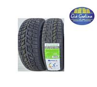 Autogreen Snow Chaser 2 AW08 (185/65 R15 88T)