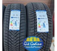 Coppia 2 Pneumatici Triangle TA01 195/55 R15 89V XL M+S 4 Stagioni Rover 45