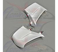 COPPIA ALI ALETTE DUCATI PANIGALE V4 S 2025 NON COLORATE Aviofibra iniezione