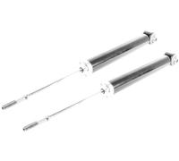 Coppia Ammortizzatori a Gas Posteriore Destro=Sinistro GH-334548