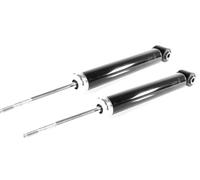 Coppia Ammortizzatori a Gas Posteriori D + S per BMW X5 E53 05.2000-12.2006