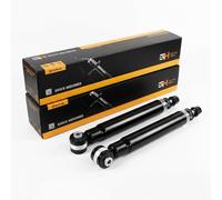 Coppia Ammortizzatori a Gas Posteriori D + S per Citroën C4,Peugeot 307,308 CC