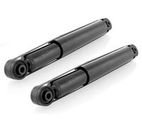 Coppia Ammortizzatori a Gas Posteriori D + S per Fiat Doblo (152) 11.2009-