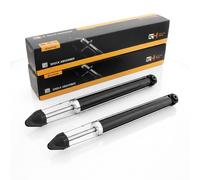 Coppia Ammortizzatori a Gas Posteriori D + S per Ford Fusion (JU) 06.2002-