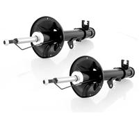 Coppia Ammortizzatori a Gas Posteriori D + S per Hyundai Elantra XD 2000-2006