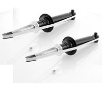 Coppia Ammortizzatori a Gas Posteriori Destro + Sinistro per BMW 5 E34, E32