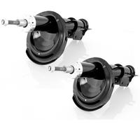 Coppia Ammortizzatori ad Olio Anteriori D + S per Fiat Multipla (186) 10.1998-