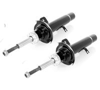 Coppia Ammortizzatori ad Olio Anteriori Destro Sinistro per Citroën C2, C3 2002-