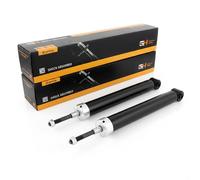 Coppia Ammortizzatori ad Olio Posteriori D + S per BMW 3 E36 Compact 1994-2001