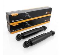 Coppia Ammortizzatori ad Olio Posteriori D + S per Fiat Panda II (169) 2003-