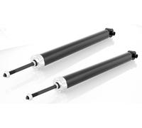 Coppia Ammortizzatori ad Olio Posteriori D + S per Fiat Stilo 192, Bravo II 198