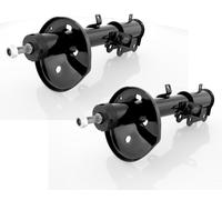 Coppia Ammortizzatori ad Olio Posteriori D + S per Toyota Corolla E11 1997-2002