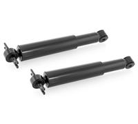 Coppia Ammortizzatori ad Olio Posteriori per Ford Escort V,VI,VII Combi TOURNIER