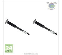 Coppia ammortizzatori Bilstein B4 OE Replacement (DampMatic®) Posteriore per bjf