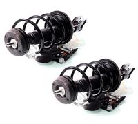 Coppia Ammortizzatori Completa MacPherson Anteriori per Citroën C4 P.307 1.6 2.0