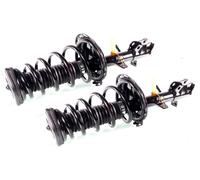 Coppia Ammortizzatori Completa Posteriori per Lexus RX300 RX330 RX350 2002-2008