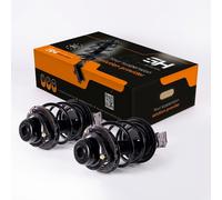 2x Ammortizzatore AGHGH-359320C01 GH