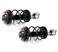 Coppia Ammortizzatori Completi MacPherson a Gas Anteriore GH-359366C01