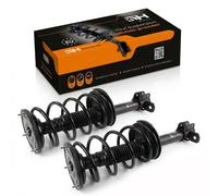 Coppia Ammortizzatori Completi MacPherson a Gas Posteriore GH-359367C01