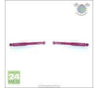 Coppia ammortizzatori gh Pro Posteriore per CITROEN C3 I C2 PEUGEOT 1007