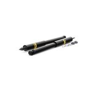 COPPIA AMMORTIZZATORI JUMPER RELAY 2.2 HDi 3.0 HDi Post. MONROE V2132