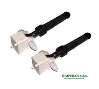 COPPIA AMMORTIZZATORI PER LAVATRICE SANGIORGIO 39901001200 39201007700 ORIGINALE