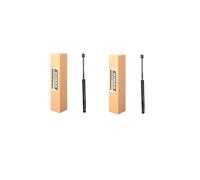 Coppia Molle a gas pistoncino portellone per Fiat Panda 2003-2012