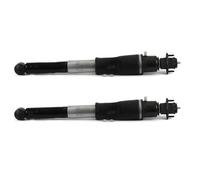 Coppia Ammortizzatori Pneumatici Posteriori TCP per Buick per Lucerne per Cadillac DTS 2006-2011 19302769 19302768 Sospensioni dello sterzo