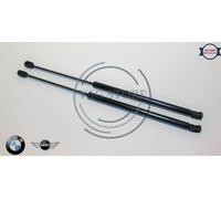 COPPIA AMMORTIZZATORI PORTELLONE POST PISTONCINI BWM 3 TOURING E91 51247127875