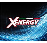 COPPIA AMMORTIZZATORI POSTERIORI 2PZ CITROEN C3 02-