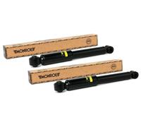 Coppia Ammortizzatori Posteriori Monroe per Fiat doblo 263 Opel Combo