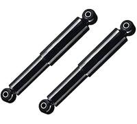 Kit 2 Ammortizzatori Posteriori Monroe 251068RM Per Fiat Panda