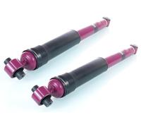Coppia Ammortizzatori PRO a Gas Posteriore Destro=Sinistro GH+333934