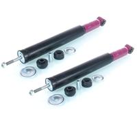 Coppia Ammortizzatori PRO ad Olio Posteriore Destro=Sinistro GH+303629