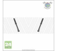 Coppia ammortizzatori xx Anteriore per IVECO DAILY II