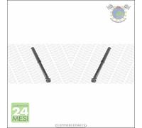 Coppia ammortizzatori xx Posteriore per NISSAN CABSTAR RENAULT TRUCKS MA bfu