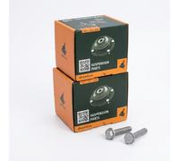 Coppia Bulloni/dadi per mozzo ruota Anteriore Abbassare GH-391539