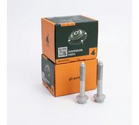 Coppia Bulloni/dadi per mozzo ruota Anteriore Abbassare GH-391937