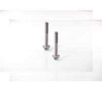 Coppia Bulloni/dadi per mozzo ruota Anteriore Destro=Sinistro GH-391593