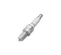 Coppia candele 6R10 Harley-Davidson,per Softail e Touring M8 2017up