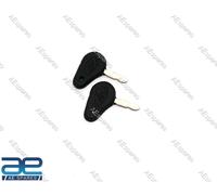 Per Mahindra Trattore Chiave Di Accensione Coppia OEM 005555207R1 GEC