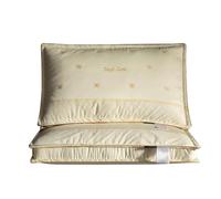 Coppia Di Cuscini Beige Imbottiti in Seta Di Gelso, 48 X 74 Cm, Cuscini in Seta Di Gelso Naturale Per Chi Dorme Su Un Fianco, Sulla Schiena O A Pancia in Giù, Cuscino Da Letto Con Federa Ricamato