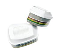 Coppia di filtri 3M 6099 ABEK2HgP3