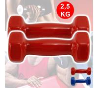 COPPIA DI MANUBRI IN VINILE DA 2,5 KG OGNUNO MANUBRI PESI PALESTRA FITNESS SPORT