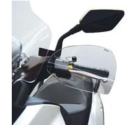 COPPIA DI PARAMANI ISOTTA FUME CHIARO SYM JOYMAX Z 300 2018 2019